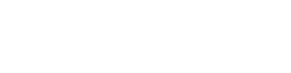 Nineteen Stone Ninjas Large White Logo